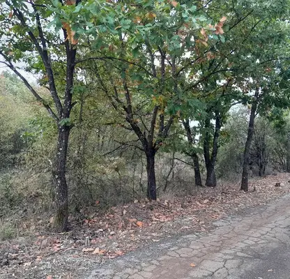 Photo 3 — Plot in Montana, Yug