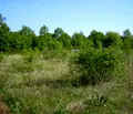 Снимка 4 — Парцел в Монтана, в.з. Юг