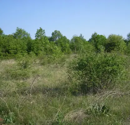 Photo 4 — Plot in Montana, Yug