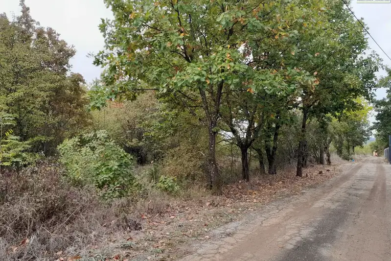 Парцел в Монтана, в.з. Юг