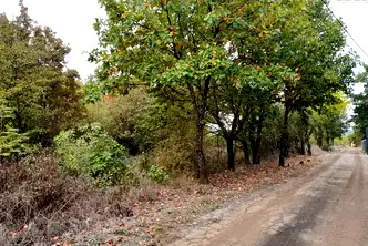 Парцел в Монтана, в.з. Юг