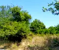 Снимка 2 — Парцел в Монтана, в.з. Запад