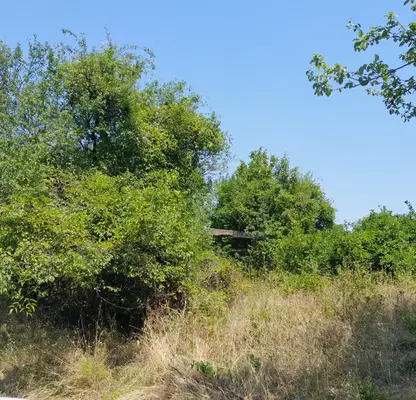 Снимка 2 — Парцел в Монтана, в.з. Запад