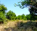 Снимка 3 — Парцел в Монтана, в.з. Запад
