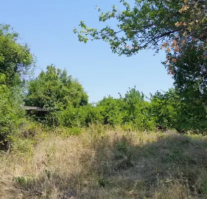 Снимка 3 — Парцел в Монтана, в.з. Запад