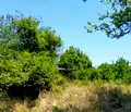 Снимка 4 — Парцел в Монтана, в.з. Запад