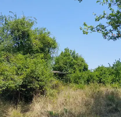 Снимка 4 — Парцел в Монтана, в.з. Запад