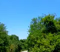 Снимка 5 — Парцел в Монтана, в.з. Запад