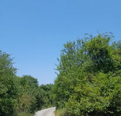 Снимка 5 — Парцел в Монтана, в.з. Запад