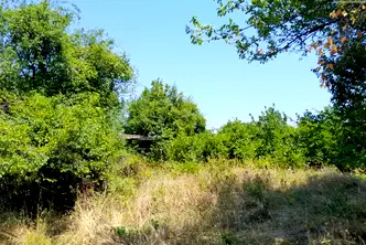 Парцел в Монтана, в.з. Запад