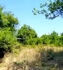 Парцел в Монтана, в.з. Запад