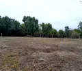 Снимка 2 — Парцел в Монтана, в.з. Запад