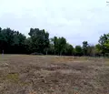 Снимка 4 — Парцел в Монтана, в.з. Запад