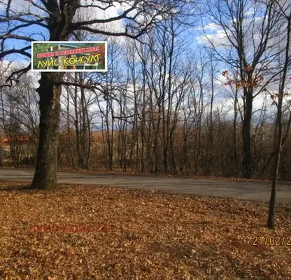 Photo 2 — Plot in Montana, Zapad