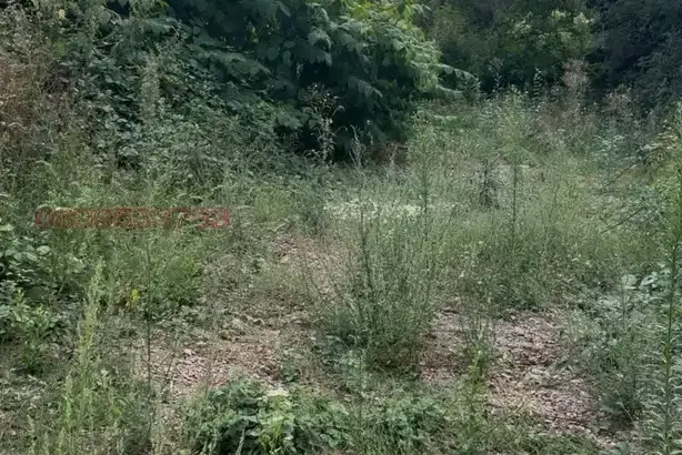 Plot in Sofia, Simeonovo - Dragalevci