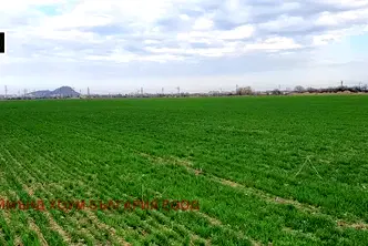 Парцел в Пловдив, Южен