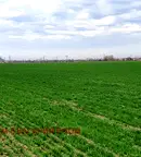 Парцел в Пловдив, Южен