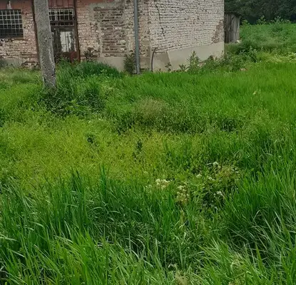 Photo 2 — Plot in Pazardjik, Zapad
