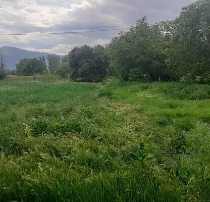 Photo 3 — Plot in Pazardjik, Zapad