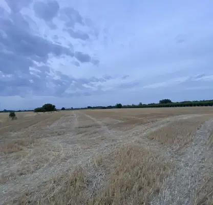 Снимка 2 — Парцел в Пловдив, Западен