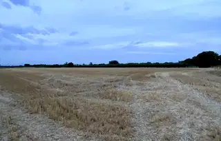 Парцел в Пловдив, Западен