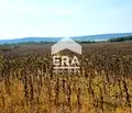Снимка 2 — Парцел във Варна, Западна промишлена зона
