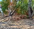 Снимка 5 — Парцел във Варна, Западна промишлена зона
