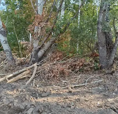 Снимка 5 — Парцел във Варна, Западна промишлена зона