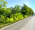 Снимка 4 — Парцел във Варна, Западна промишлена зона