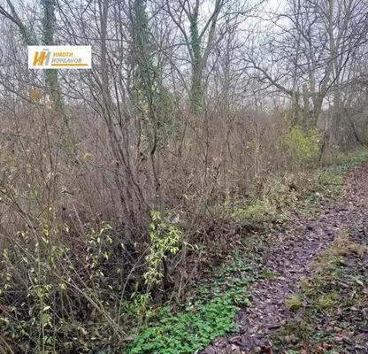 Photo 3 — Plot in Veliko Tyrnovo, Zona B