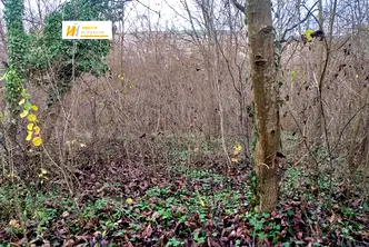 Парцел във Велико Търново, Зона Б