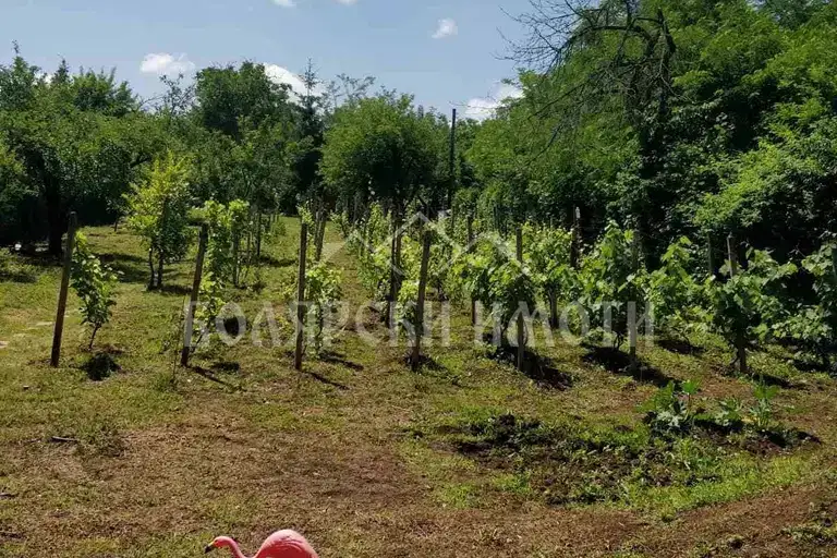 Plot in Veliko Tyrnovo, Zona B