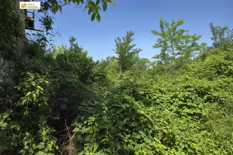 Plot in Veliko Tyrnovo, Zona B