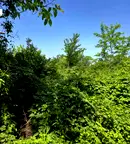 Парцел във Велико Търново, Зона Б