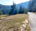 Снимка 2 — Парцел в Благоевград, Банско