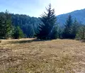 Снимка 4 — Парцел в Благоевград, Банско