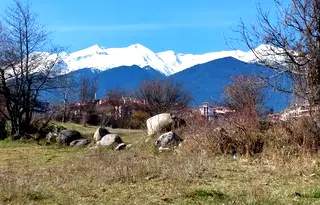 Парцел в Благоевград, Банско