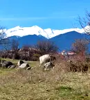 Парцел в Благоевград, Банско