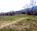 Снимка 4 — Парцел в Благоевград, Банско