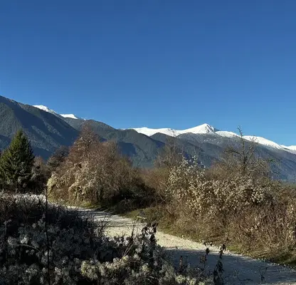 Photo 4 — Plot in Oblast Blagoevgrad, Bansko