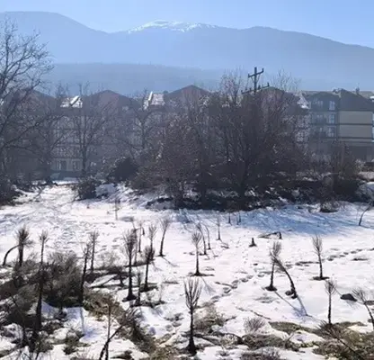 Photo 2 — Plot in Oblast Blagoevgrad, Bansko