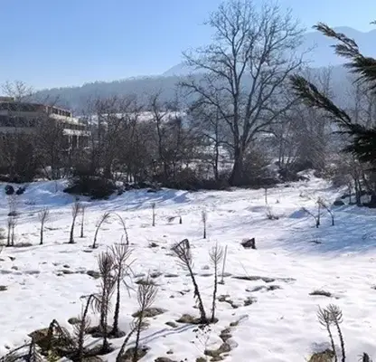 Photo 4 — Plot in Oblast Blagoevgrad, Bansko
