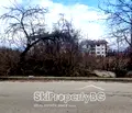 Снимка 5 — Парцел в Благоевград, Банско