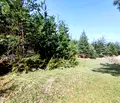 Снимка 3 — Парцел в Благоевград, Банско