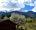 Снимка 2 — Парцел в Благоевград, Банско
