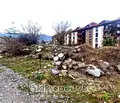 Снимка 5 — Парцел в Благоевград, Банско
