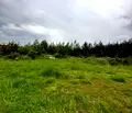 Снимка 5 — Парцел в Благоевград, Банско