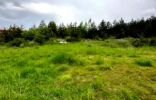 Парцел в Благоевград, Банско