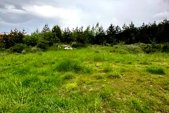Парцел в Благоевград, Банско