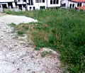 Снимка 3 — Парцел в Благоевград, Банско